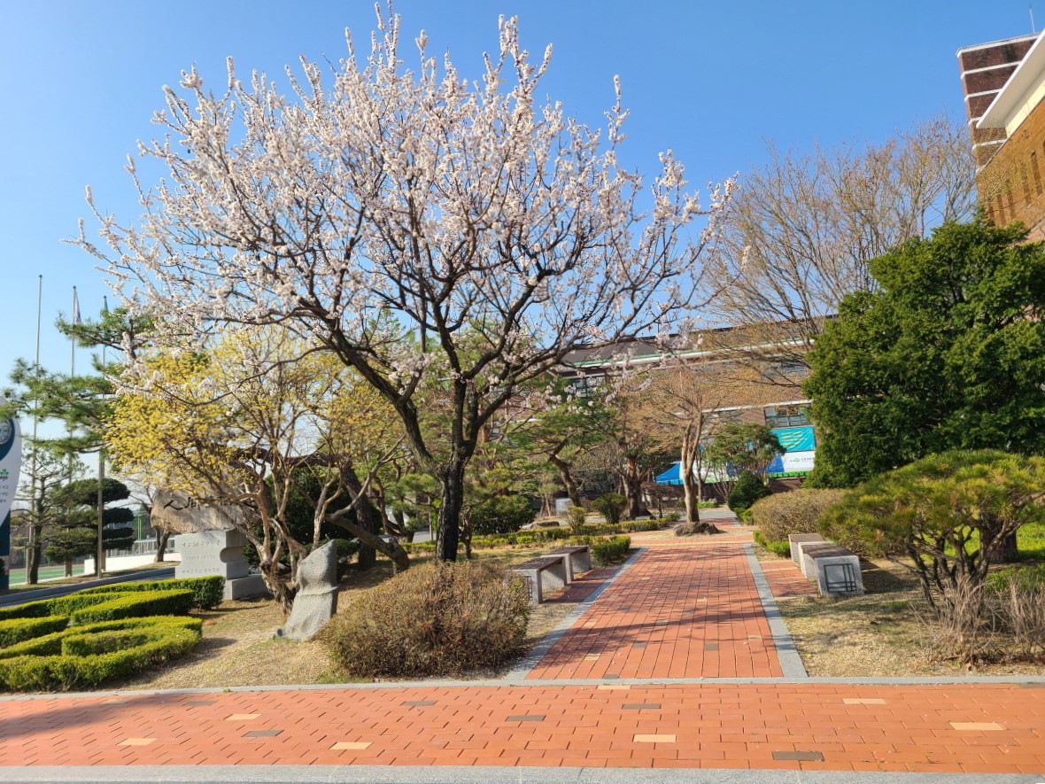 20250411_084851