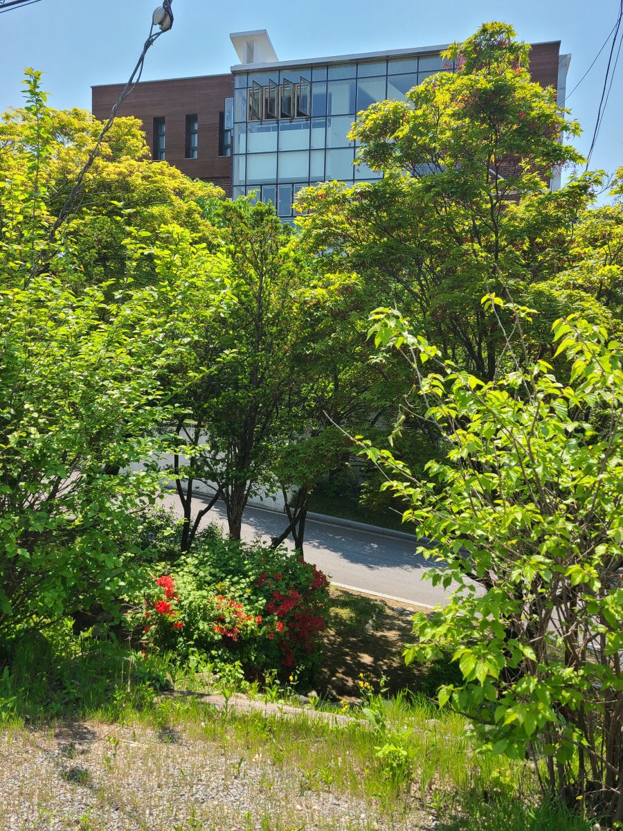 20250512_125026 - 복사본