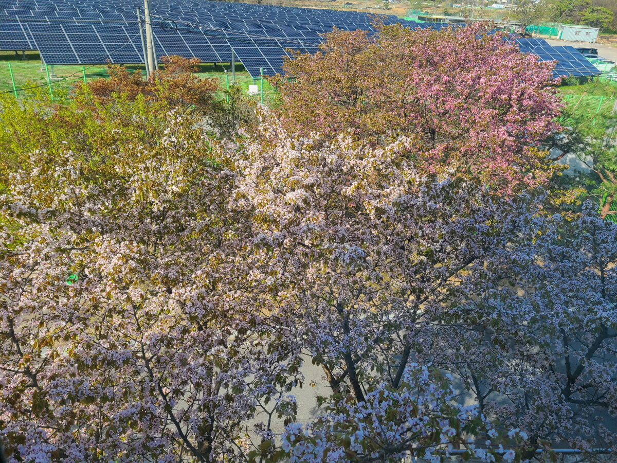 20250421_164328 - 복사본