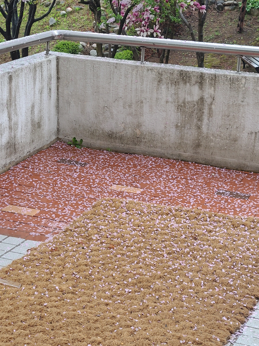 20250422_083207 - 복사본