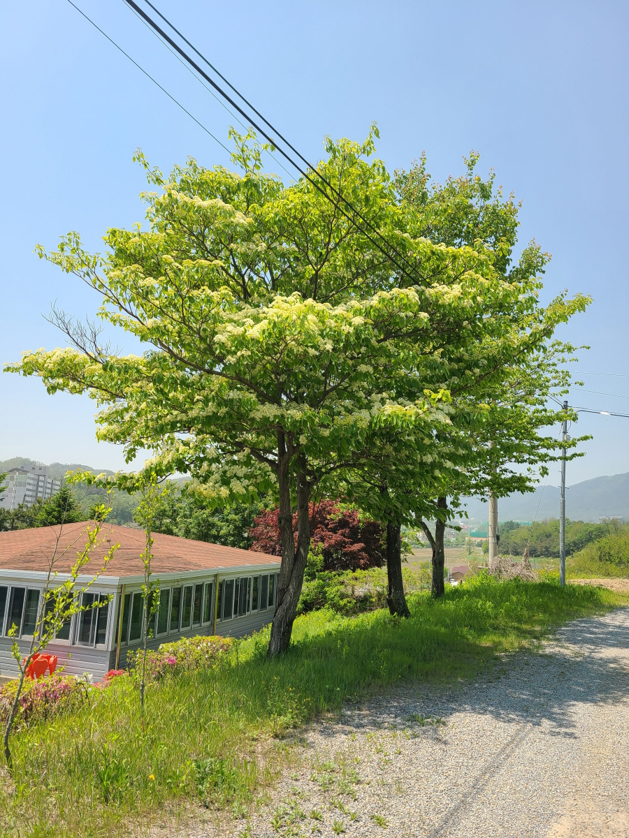 20250512_124113 - 복사본