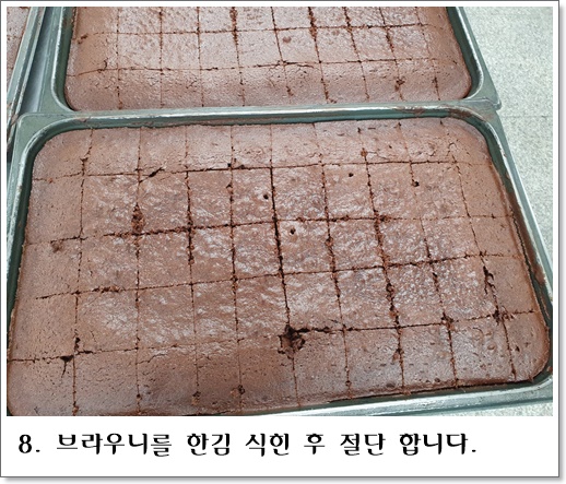 브라우니8