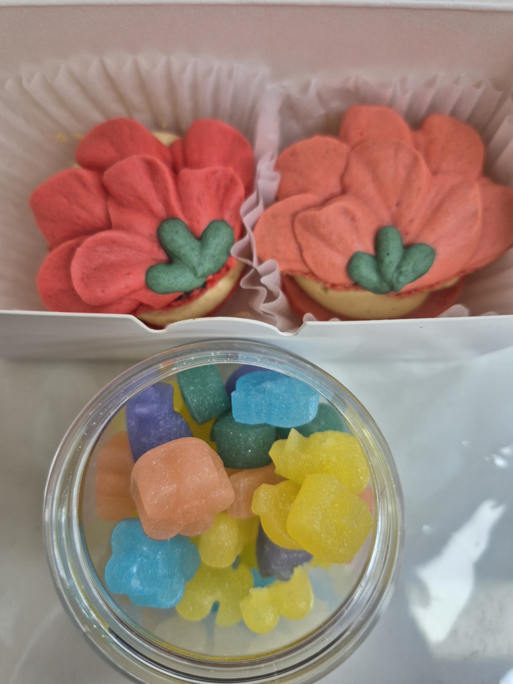 KakaoTalk_20250515_163442838.jpg