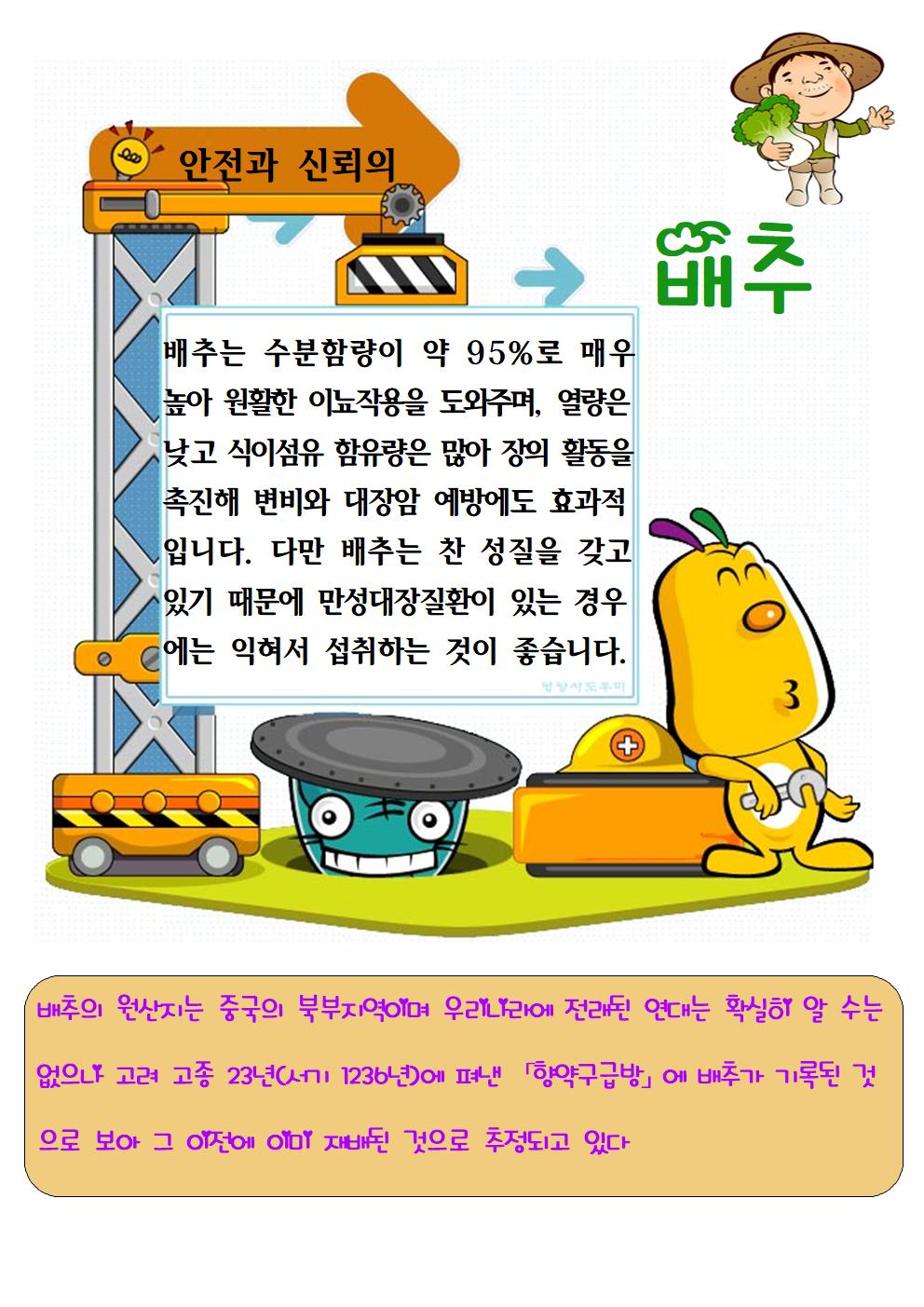 배추(5.22.)jpg