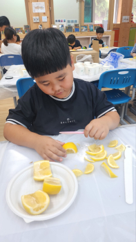 KakaoTalk_20250529_114358634.jpg