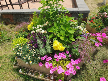 KakaoTalk_20250520_120807926.jpg