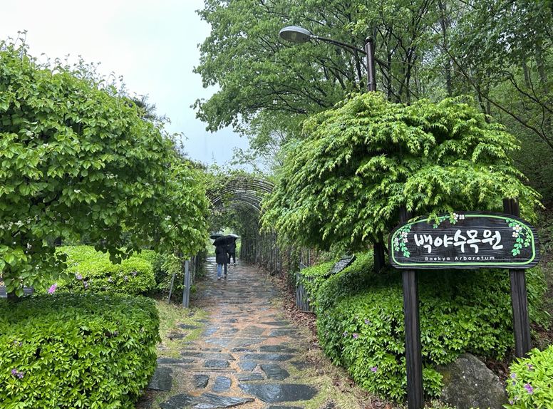 image02