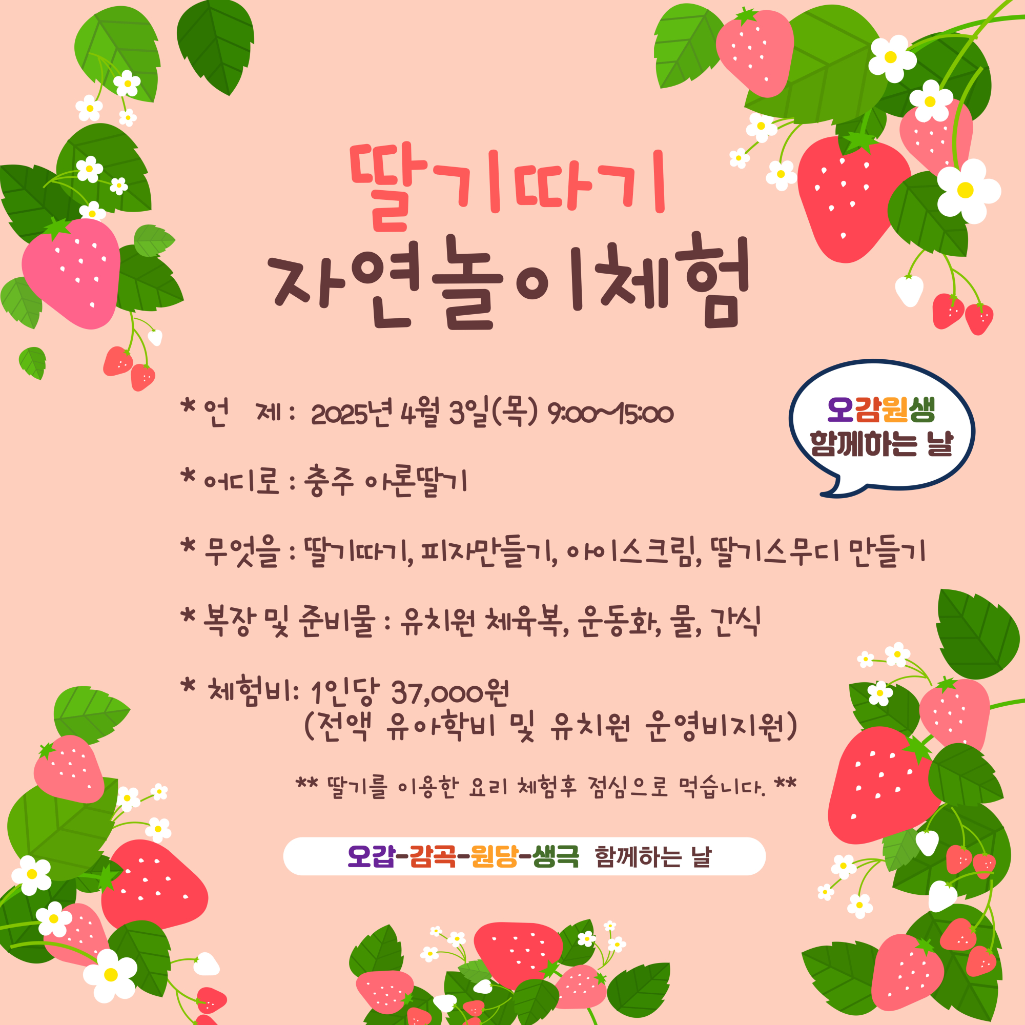 딸기체험