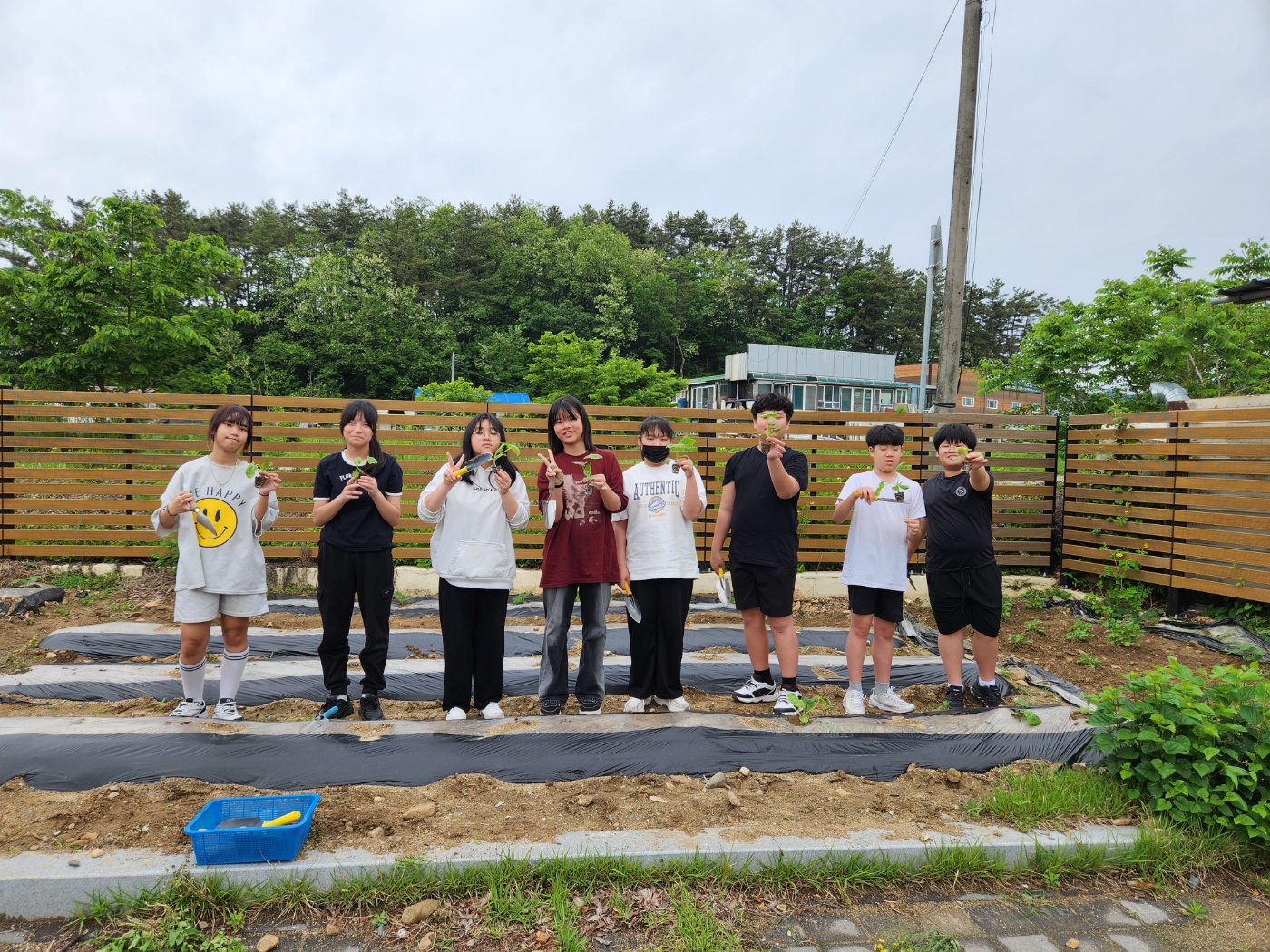 5.16.군남초_텃밭가꾸기4.jpg
