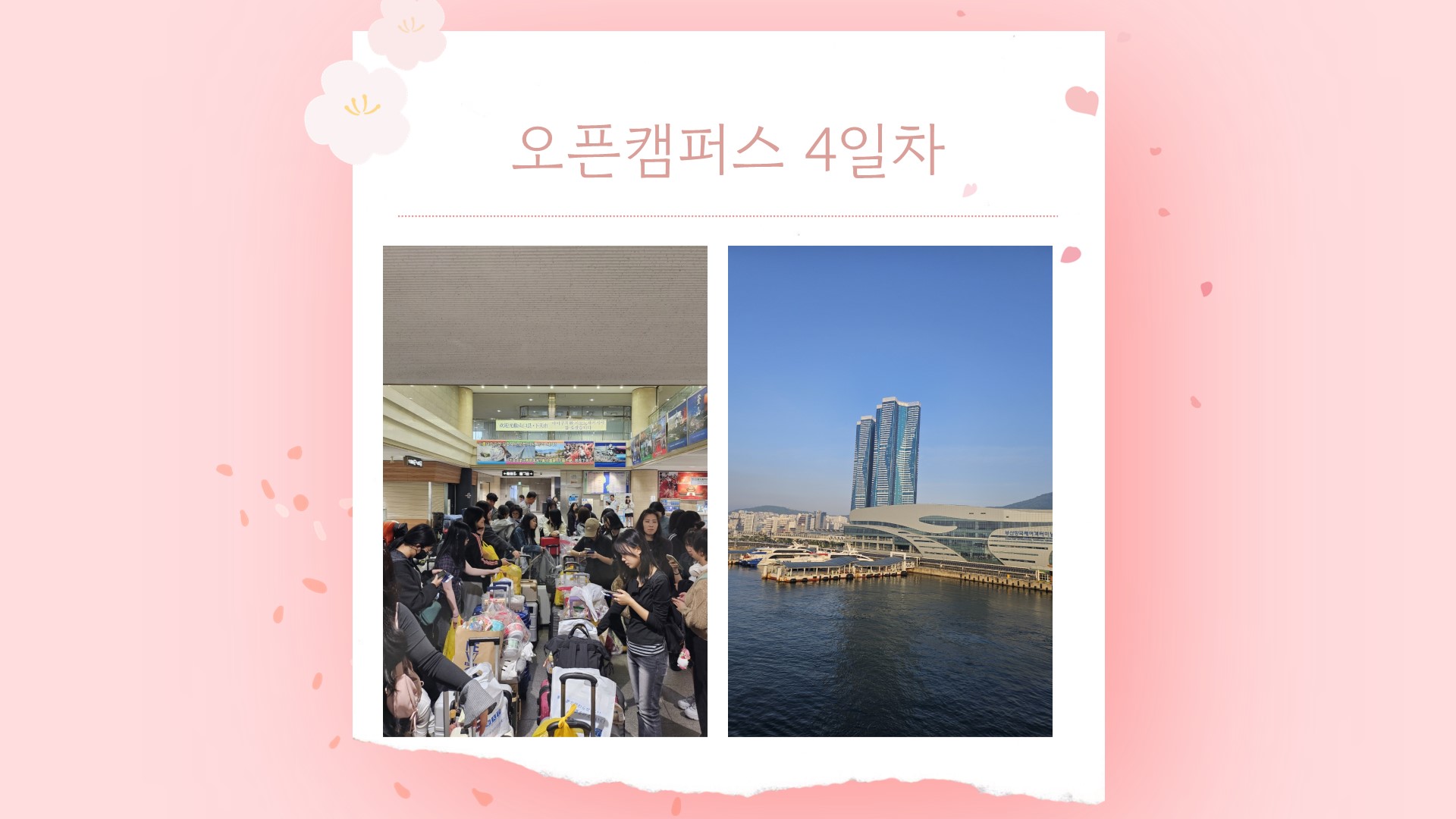 슬라이드14