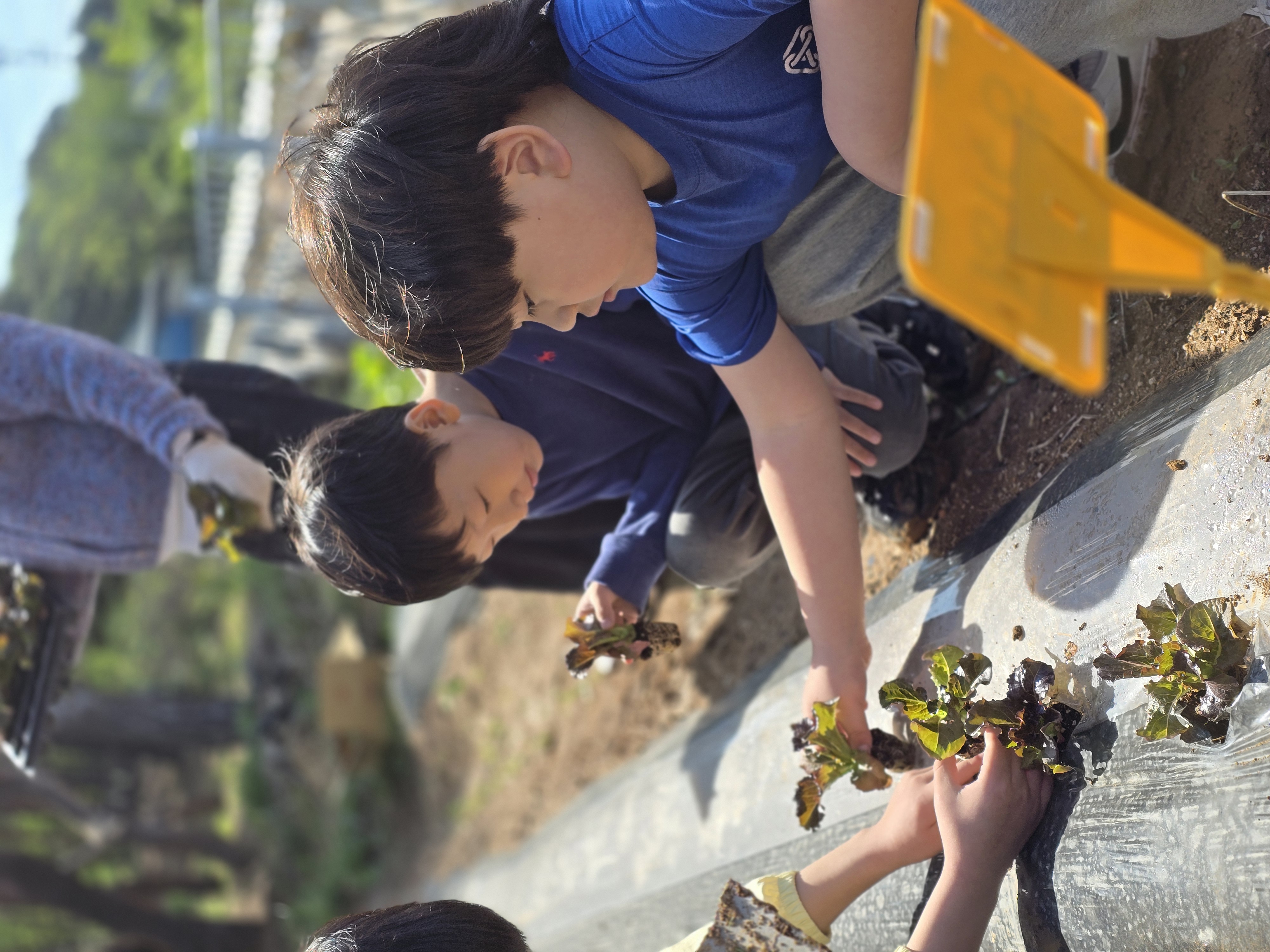 학성오누이(환경동아리) (1).jpg