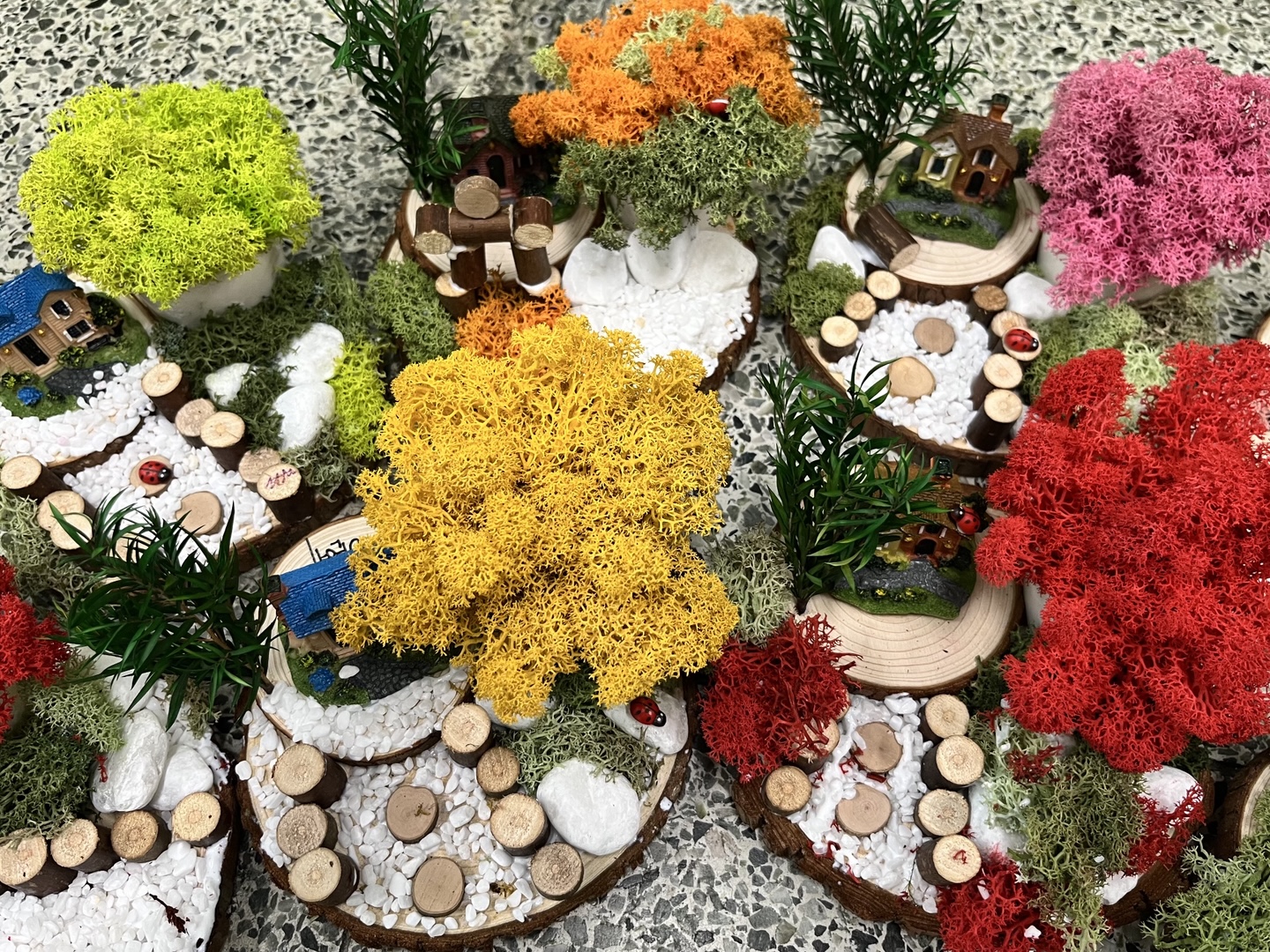 KakaoTalk_20250519_145054055_03