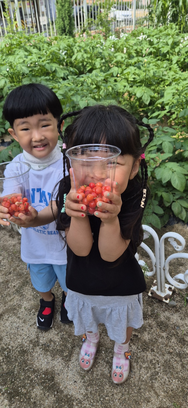 KakaoTalk_20250522_133743738_01