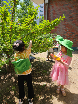 KakaoTalk_20250522_082711788_13.jpg