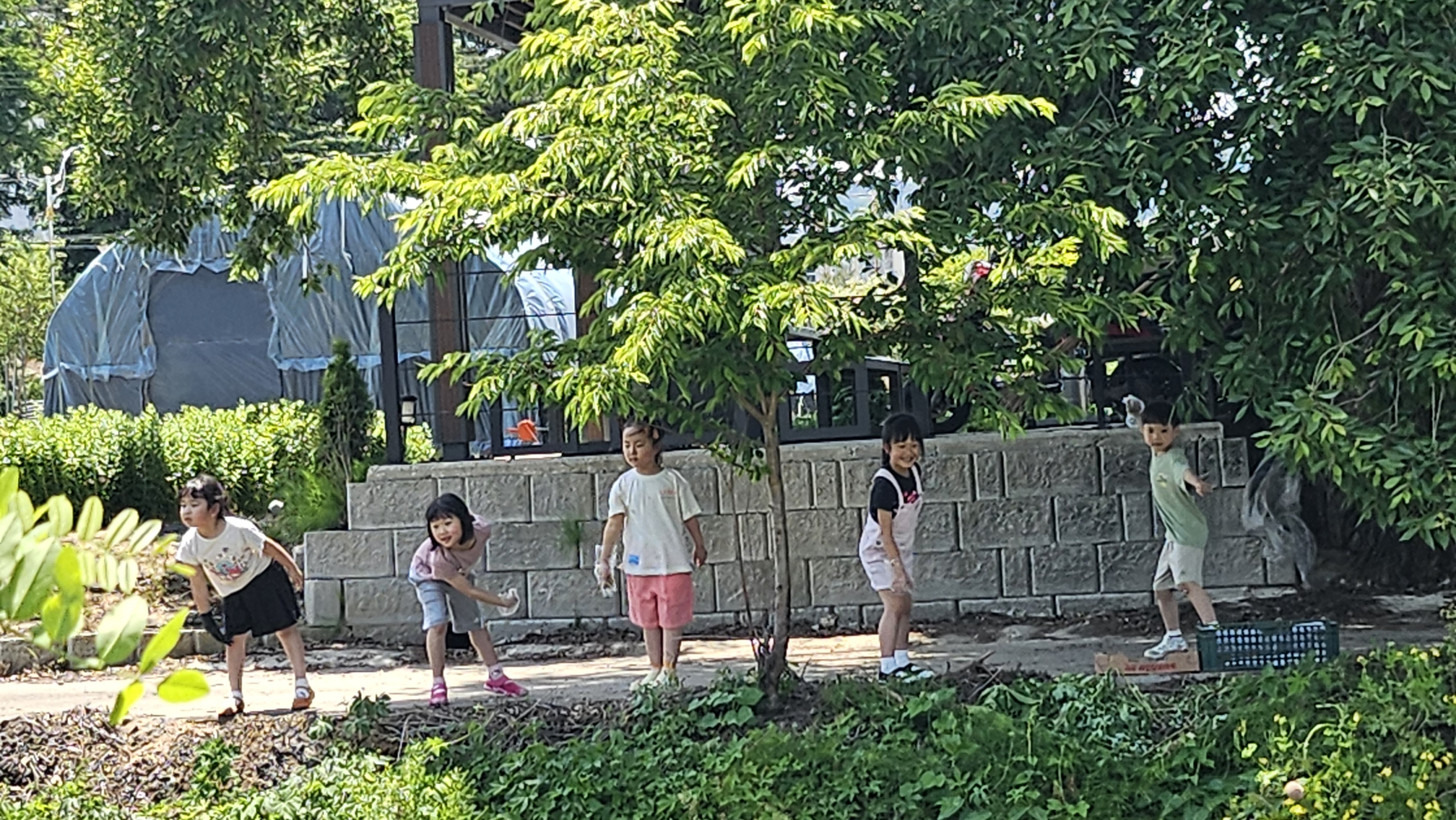 20250520_130735.jpg