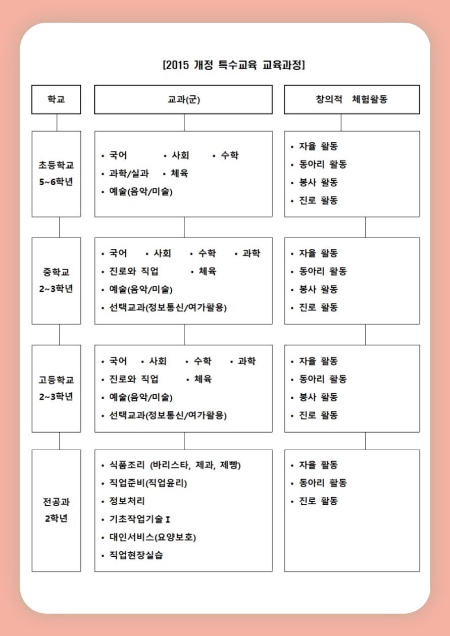 2015개정 특수교육 교육과정