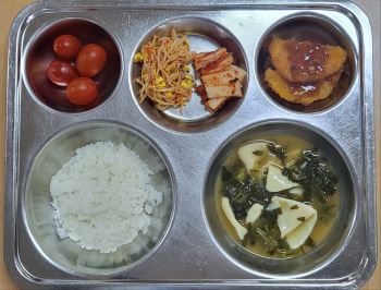 KakaoTalk_20250501_115321728.jpg