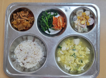 KakaoTalk_20250512_142703638.jpg