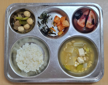 KakaoTalk_20250520_144206047.jpg
