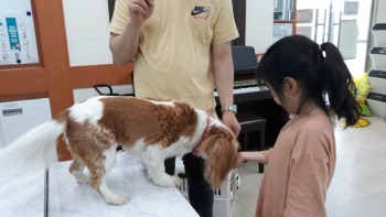 KakaoTalk_20250528_131826509.jpg