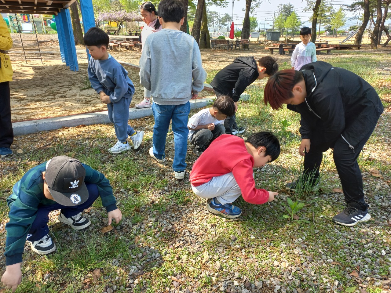 2025. 문상초등학교-학성초 역사둘레숲 생명생태놀이교육-68490315369