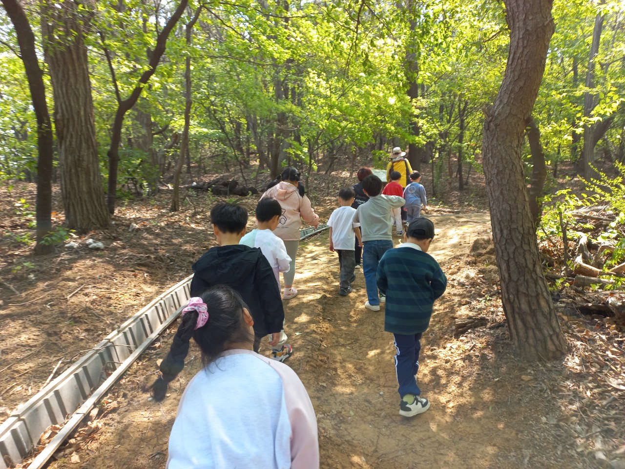 2025. 문상초등학교-학성초 역사둘레숲 생명생태놀이교육-68490315376