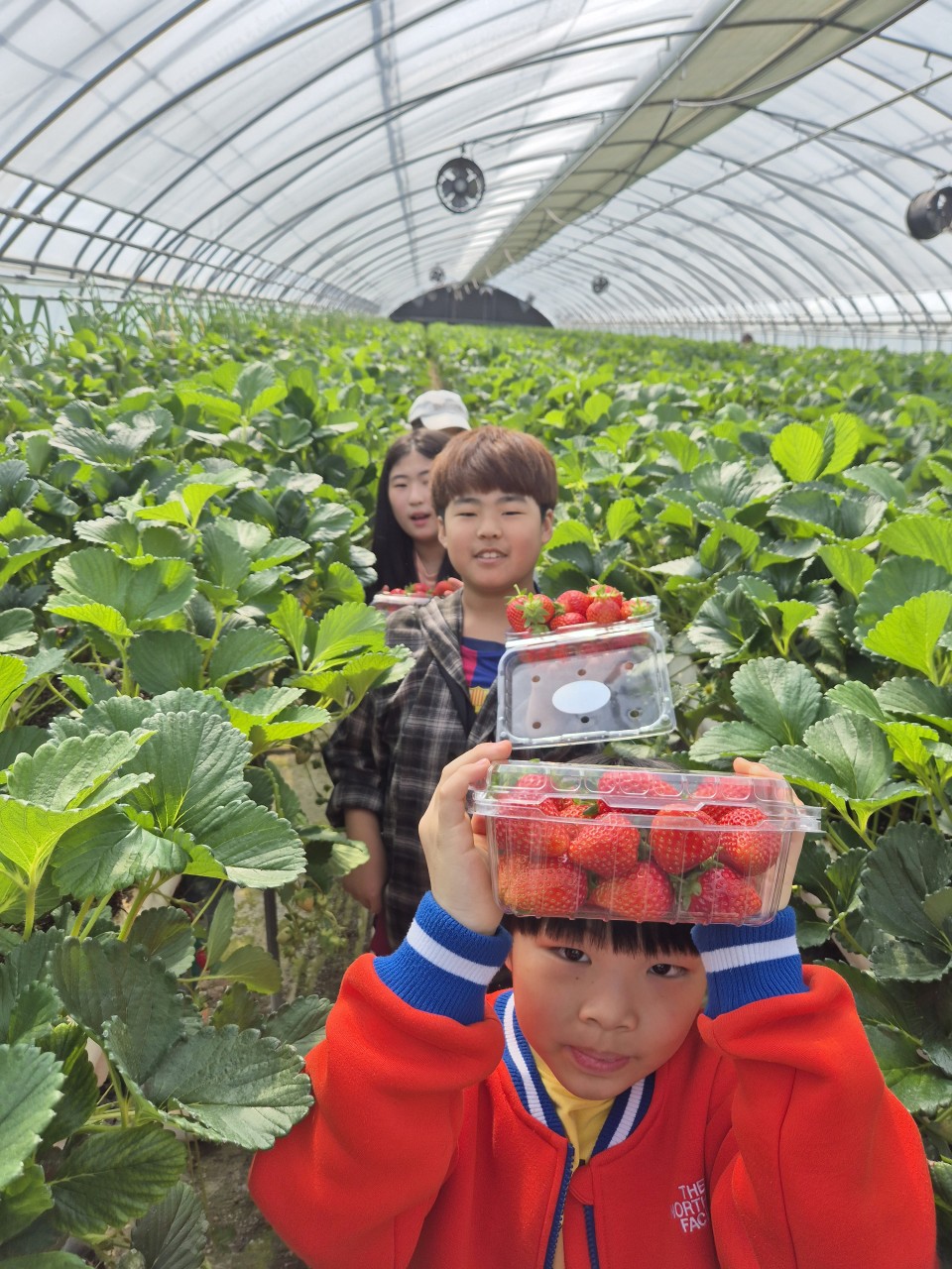 2025. 문상초등학교-동문연계 딸기밭체험학습-68417804764