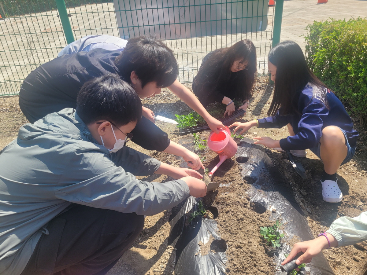 텃밭20250514_102931.jpg
