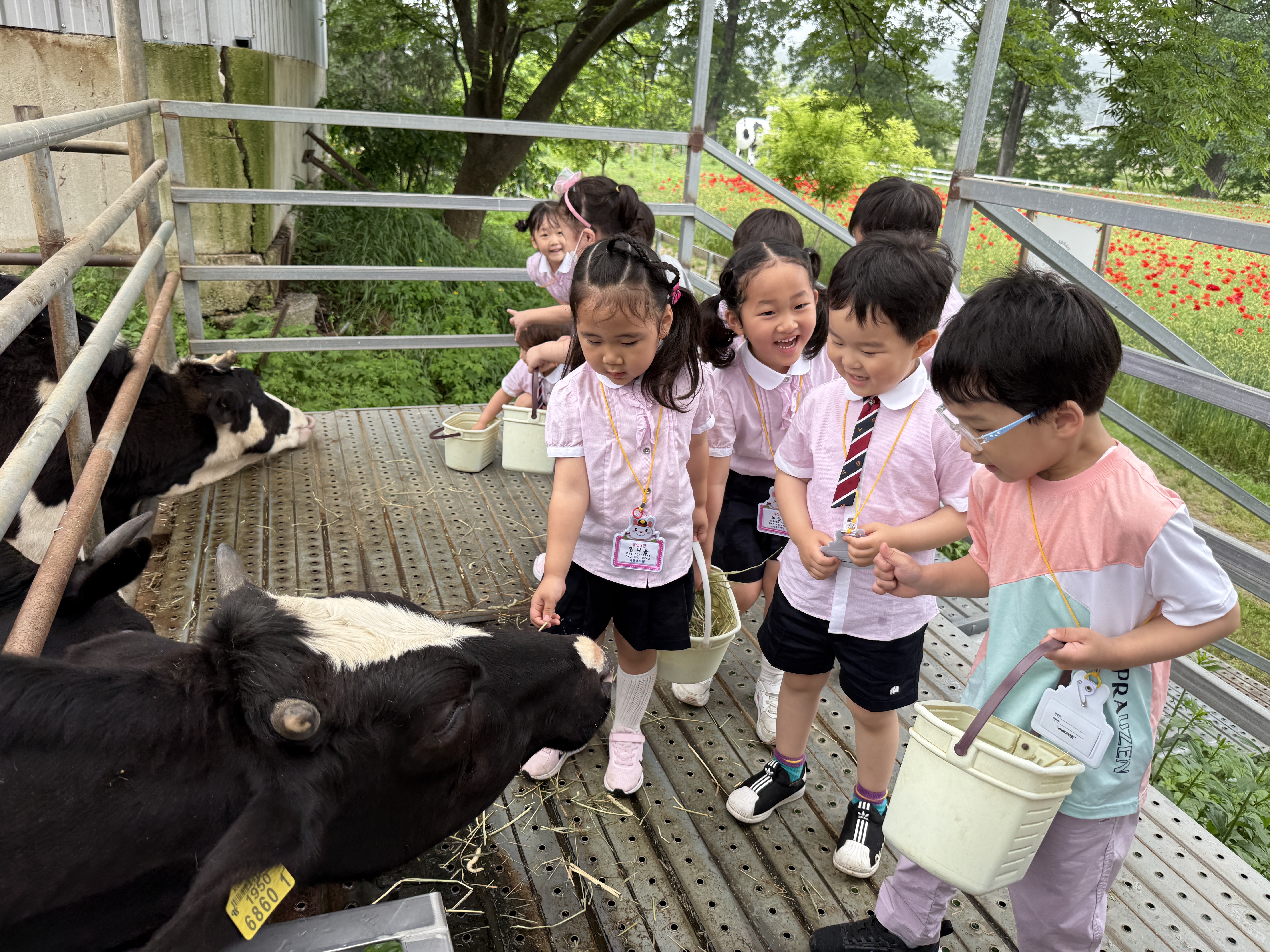 KakaoTalk_20250523_162230579.jpg