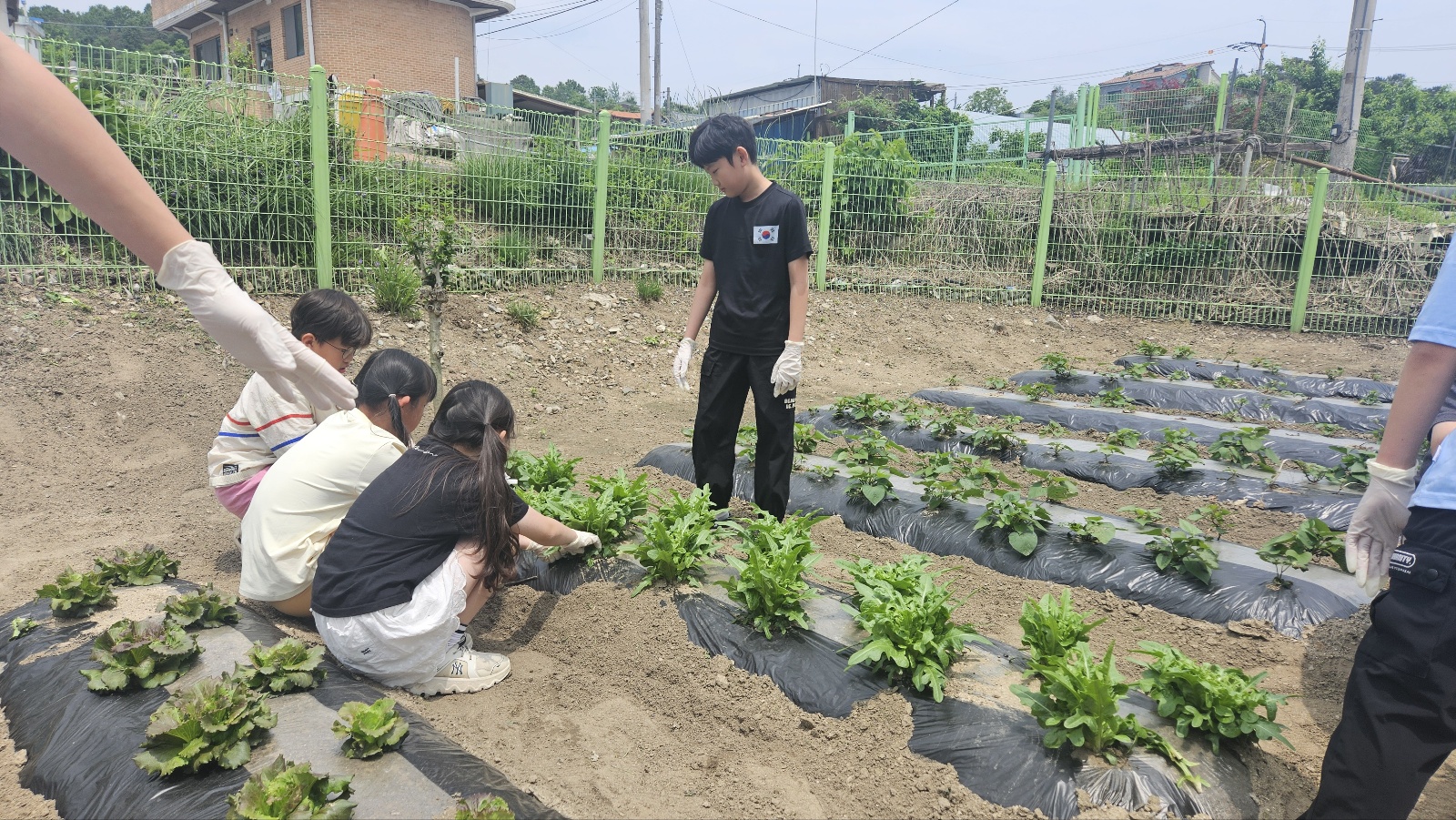 KakaoTalk_20250523_125816027.jpg