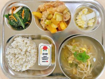 KakaoTalk_20250515_105854347.jpg