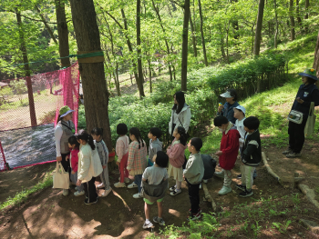 숲체험3.jpg