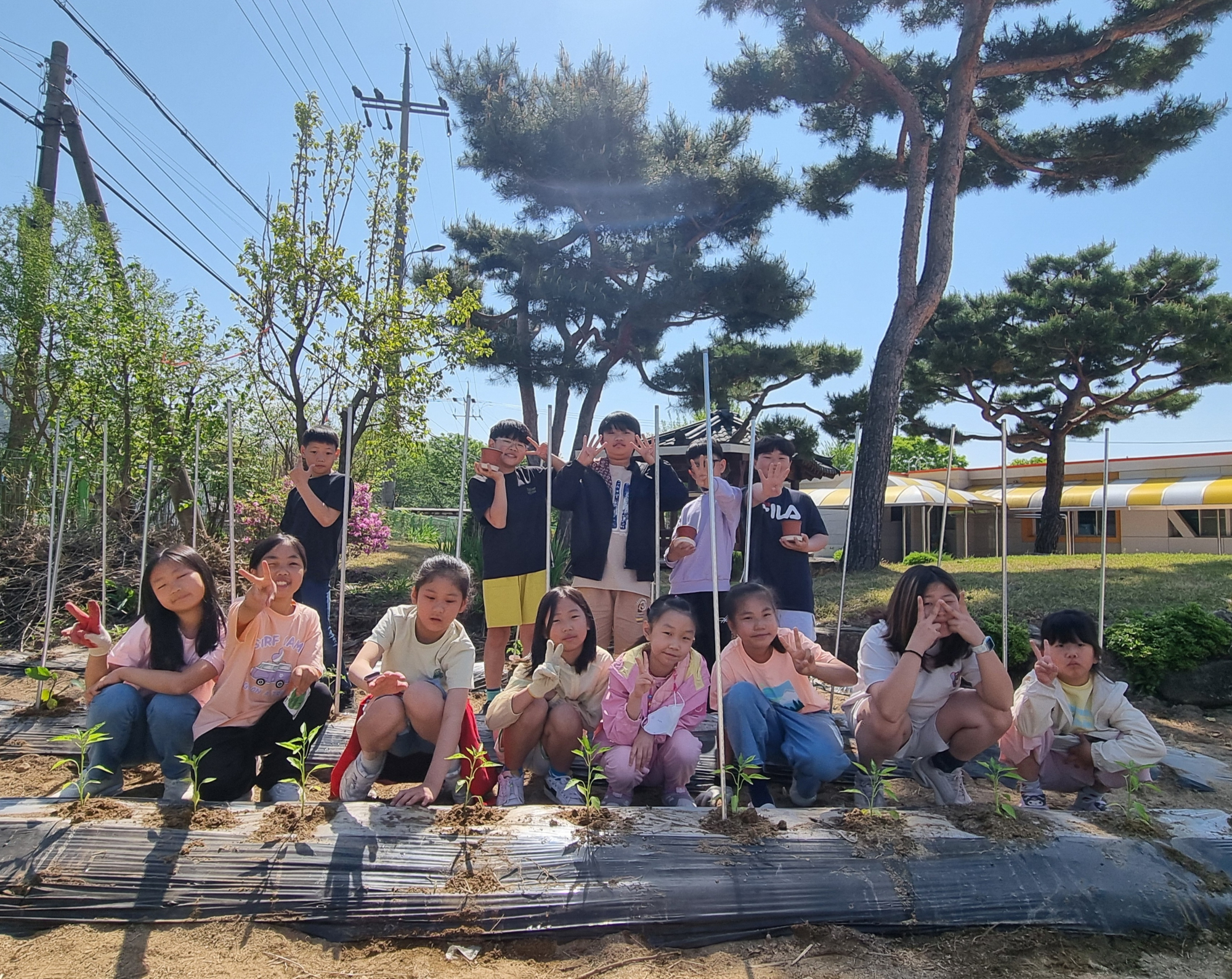 텃밭식물 (1)
