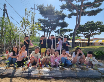 텃밭식물 (1).jpg