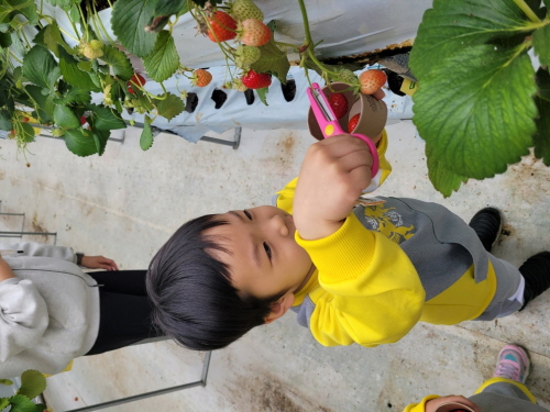 [크기변환]img - 2025-05-12T160522.830.jpg