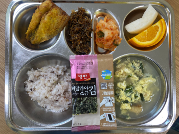 KakaoTalk_20250515_074559816.jpg