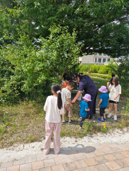 KakaoTalk_20250619_112841582.jpg