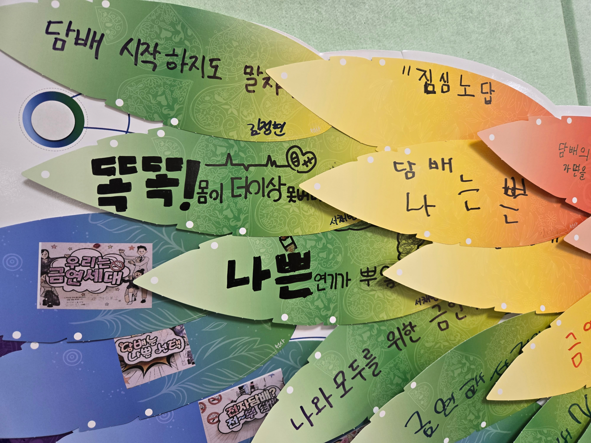 KakaoTalk_20250624_161803016_15