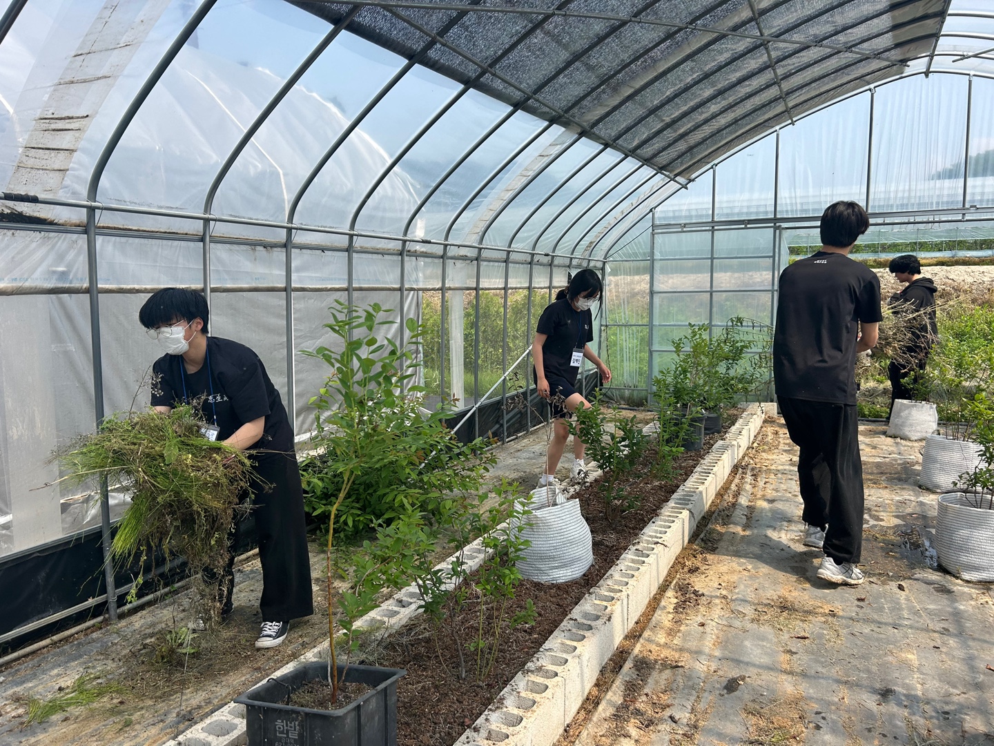 KakaoTalk_20250609_112737956_17