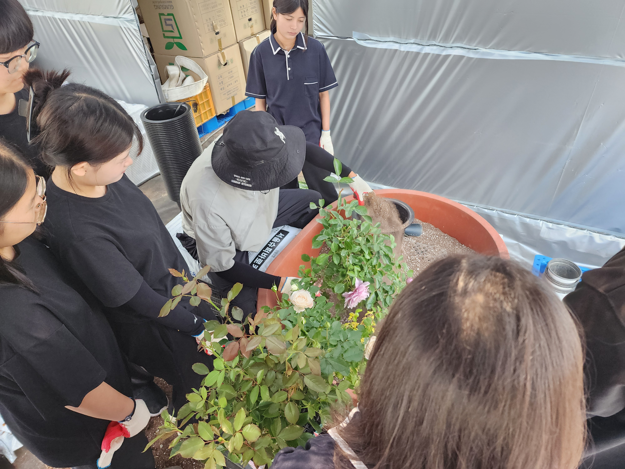 KakaoTalk_20250527_164715368_18