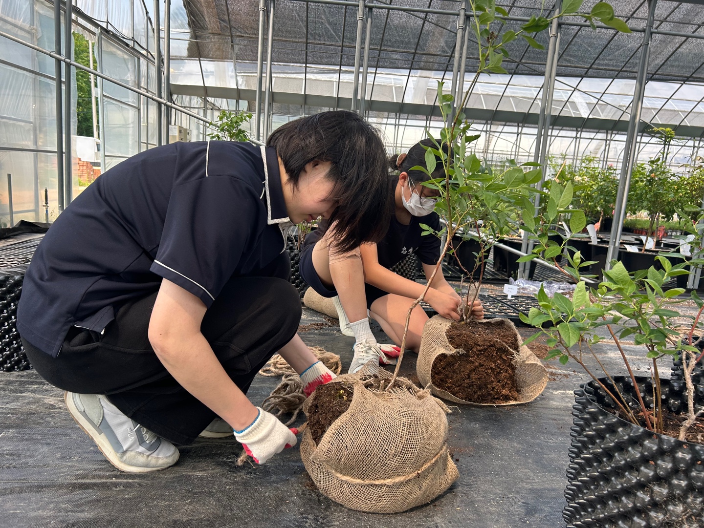 KakaoTalk_20250609_112737956_28