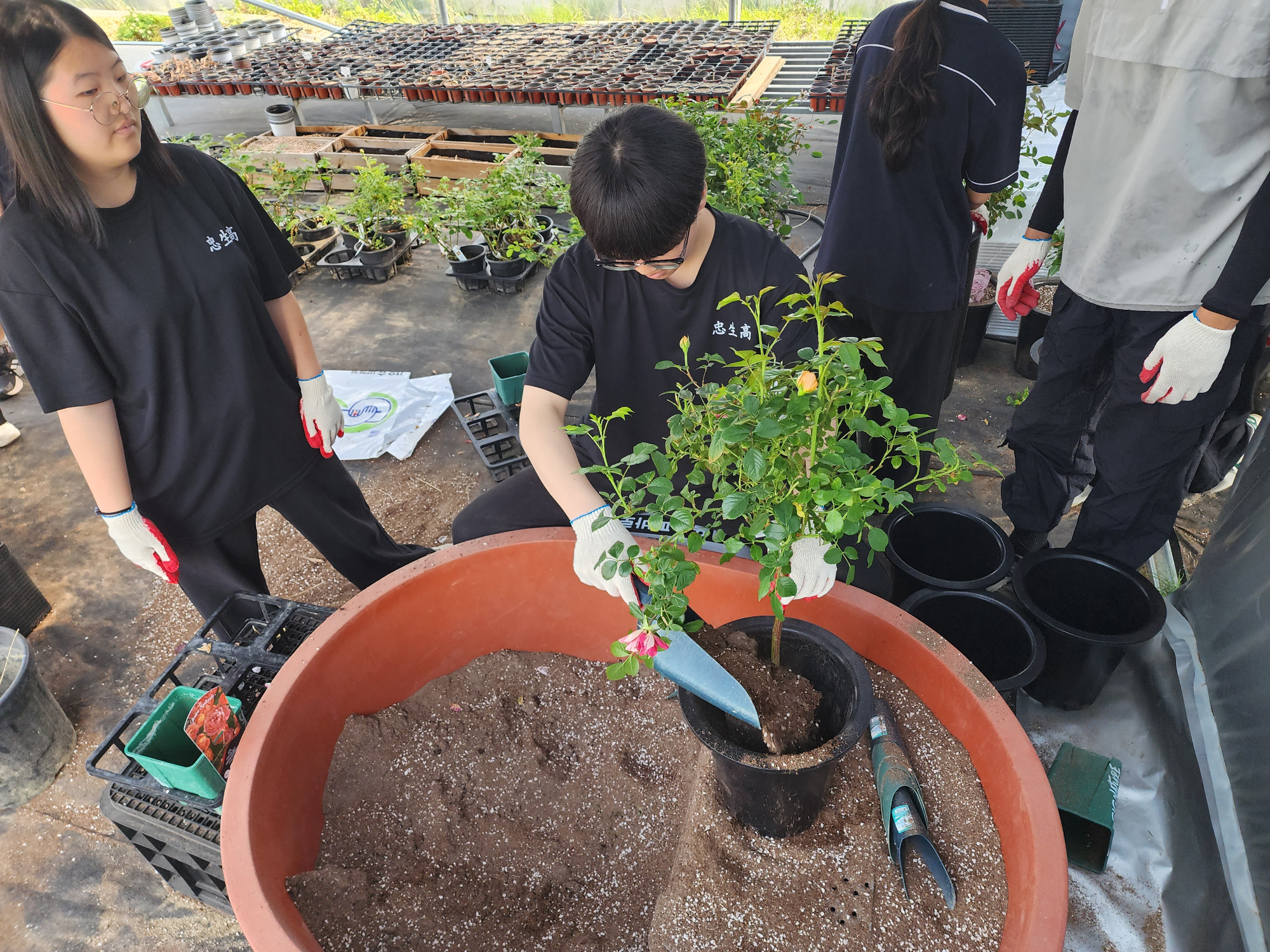 KakaoTalk_20250527_164715368_13