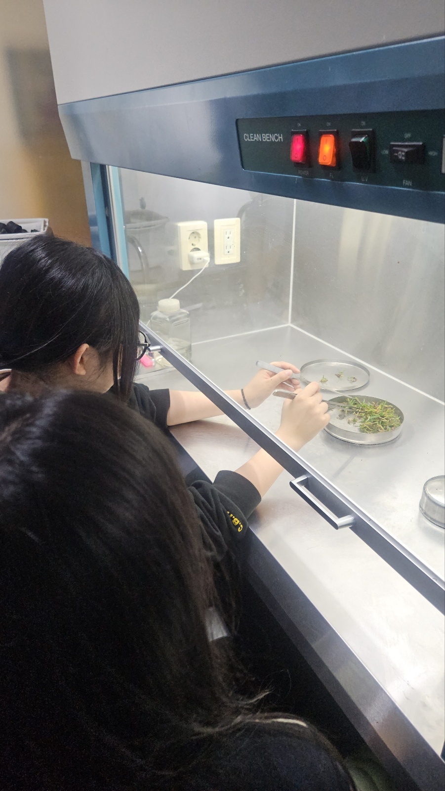 KakaoTalk_20250527_160955485_01