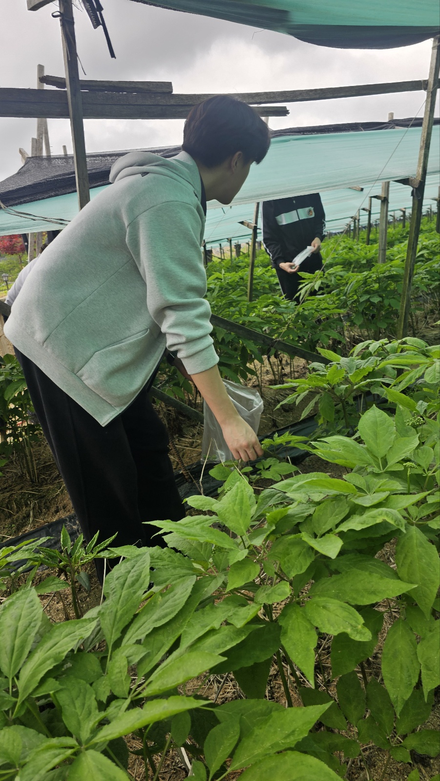 KakaoTalk_20250606_094916396_03
