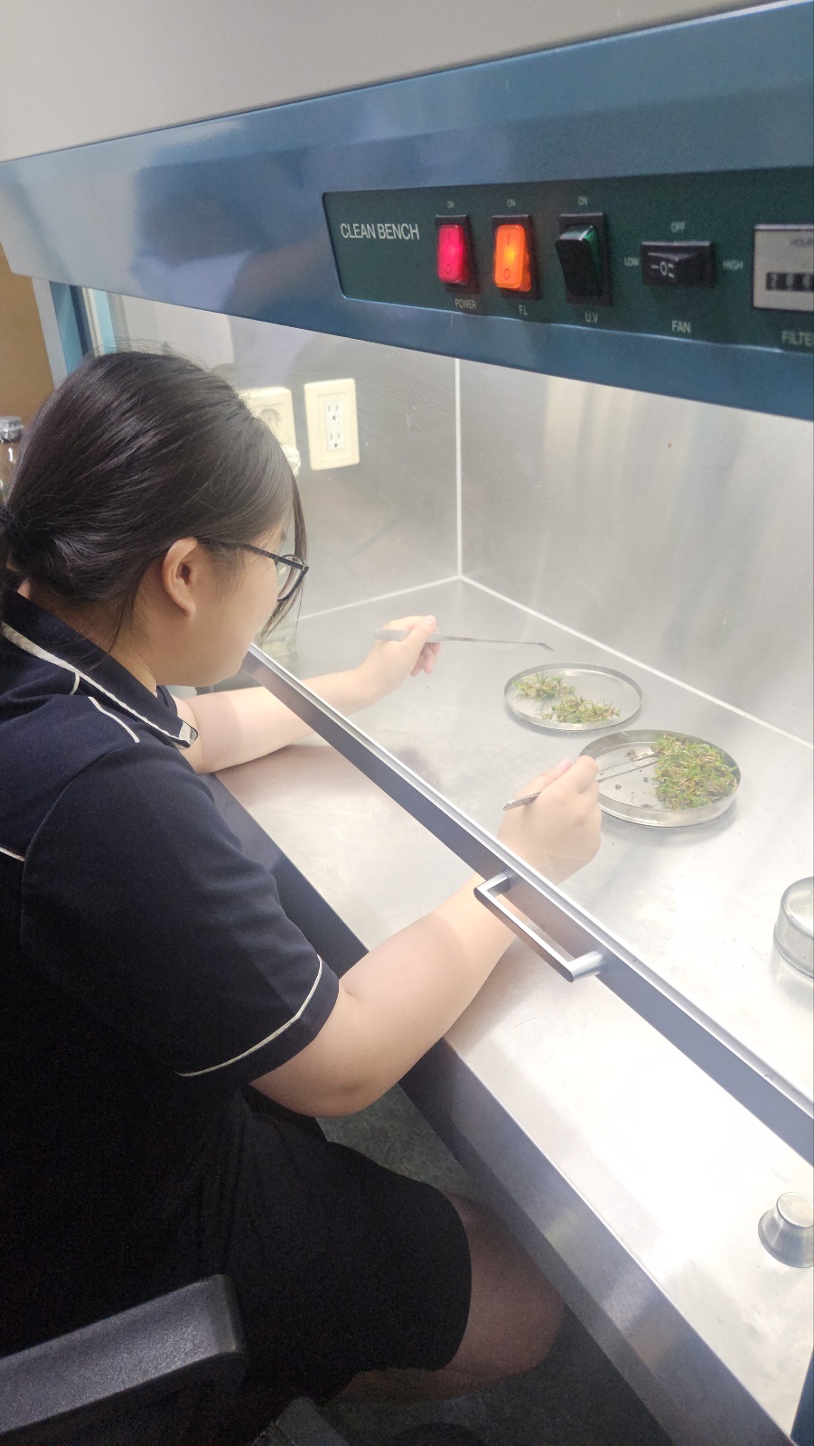 KakaoTalk_20250527_160955485_05
