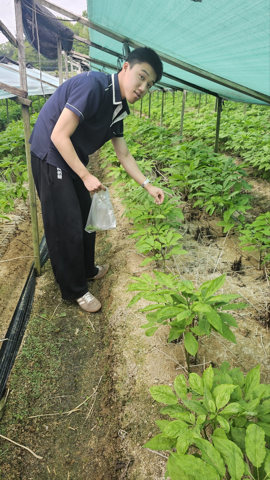 KakaoTalk_20250606_094916396_02