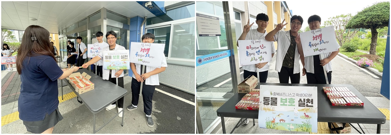 캠페인