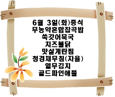 20250603 - 식단명(중)