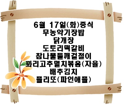 20250617 - 식단명(중)