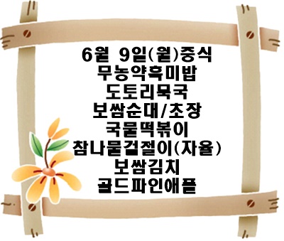 20250609 - 식단명(중)